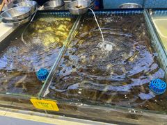 -大锅强·蒸海鲜青岛菜(金沙滩店)