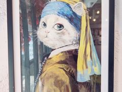 -喵屿·大理花园猫咖