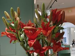 -南堂馆·新川菜(春熙路店)