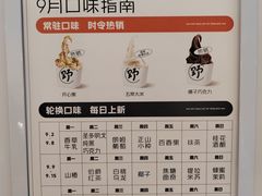 -野人先生Gelato(上海长宁龙之梦店)