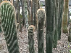 -南山植物园