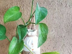 -不贰手作陶艺diy·烧玻璃·银饰团建(人民大学店)
