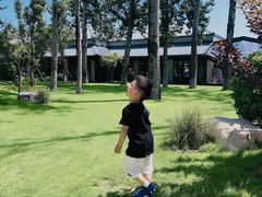 -禧宴Joyous Restaurant(禧园店)