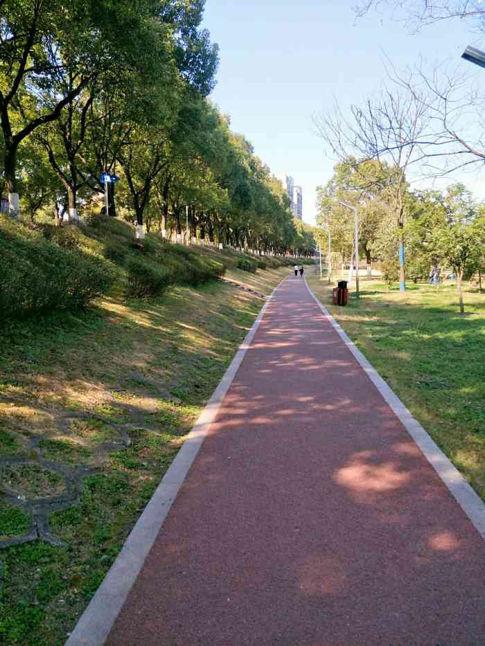 临沮公园-"带狗子去公园散步 奈何真的太热太热了在."-大众点评移动版