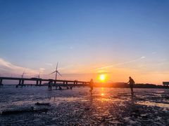-南汇新城海滩