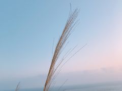 -东极岛景区