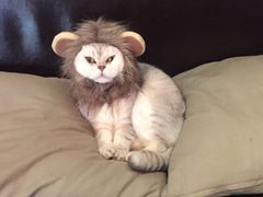 -MIKAKU(万达广场上海宝山店)