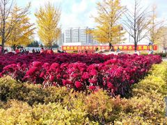 -辽东学院(南校区)