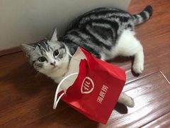 -海底捞火锅(银泰中心店)