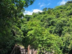 -广州白江湖森林公园