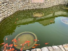 -前童古镇