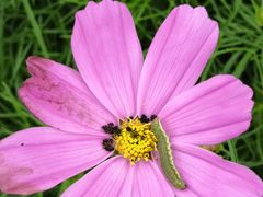 -长春公园(普阳街道)