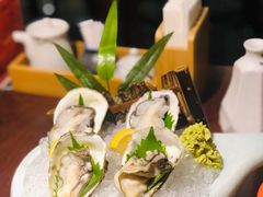 生蚝-九井澤精致料理(金茂店)