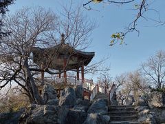 -莲花池公园