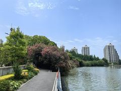 -柴门·头啖汤(天安千树店)