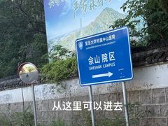 -上海佘山国家森林公园天马山园