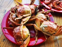 -好伦哥(温都水城店)