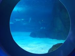-常州海昌海洋探索馆