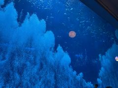 -南昌融创海世界