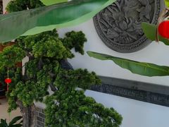 -呼吸森林·生态农庄农家乐私房菜