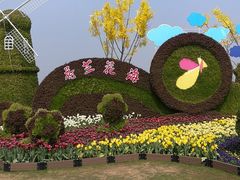 -荷兰花海