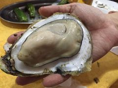 -蚝专家(北滘店)