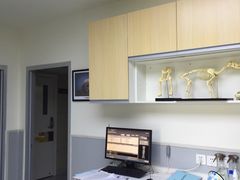 -谐和益家动物医院·免疫绝育·血液透析·宠保定点医院(高新伊藤分院)
