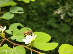-金堂县云顶石城风景区
