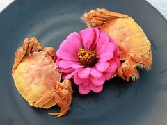 -洪湖生态旅游区