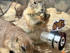 -珠海海泉湾神秘岛亲子乐园