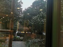 -龙井壹号·茶缘山景宴(龙井村店)