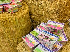 -chi K11艺术空间展览厅