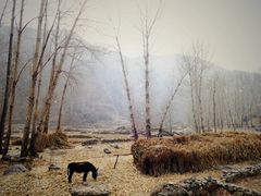 -敛巧饭民俗文化节