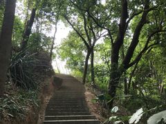 -天鹿湖森林公园