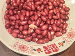-二胖家铁锅炖大鹅(双井店)