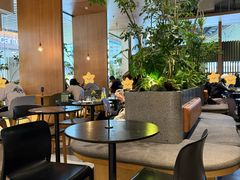 -gaga(深圳福田星河COCO Park店)