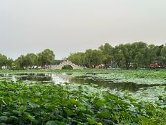 -长春市南湖公园