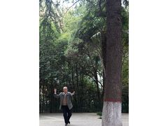 -西安市长乐公园