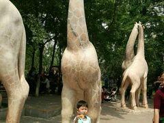 -石家庄市动物园