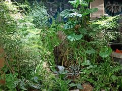 -颐而康·按摩·艾灸·足疗(武陵大道店)