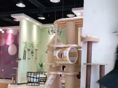 -藏猫猫咖啡主题馆(中央大道店)