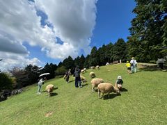 -神户市立六甲山牧场