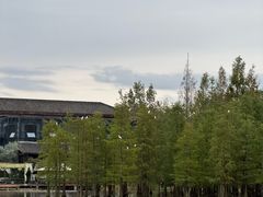 -白鹭湾湿地公园