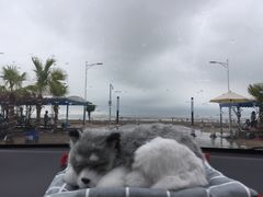 -珠海金沙滩