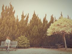 -南沙蒲洲花园
