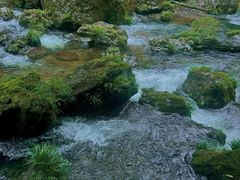 -龙苍沟森林公园