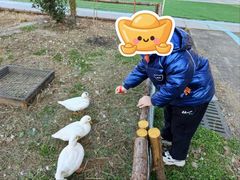 -张家港金凤凰度假村温泉