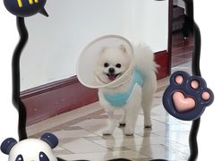 -FAELING PETS美天灵宠物(富力广场店)