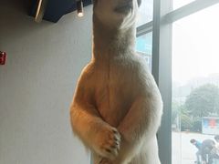 -魏客咖啡(中铁中心店)