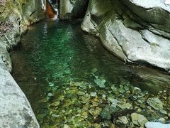 -黑河国家森林公园